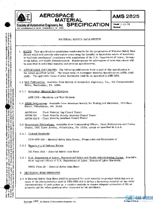 SAE AMS2825 PDF