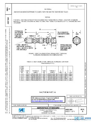 SAE AS21941A PDF