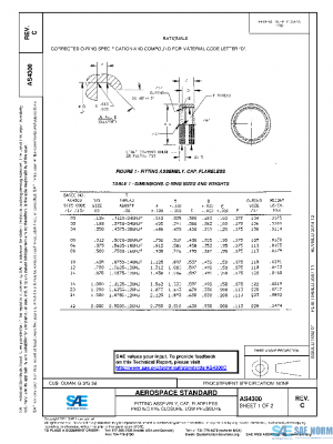SAE AS4300C PDF