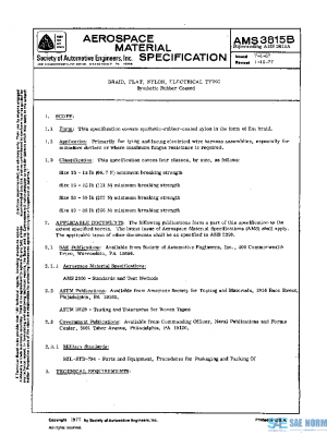 SAE AMS3815B PDF