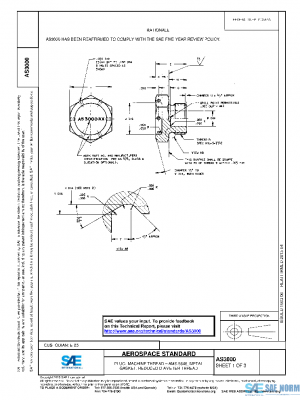 SAE AS3000 PDF
