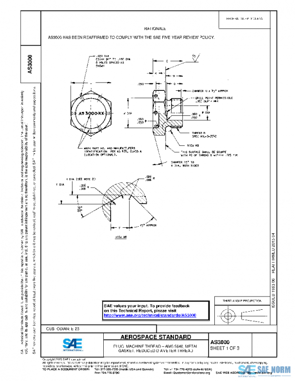 SAE AS3000 PDF SAE AS3000 PDF