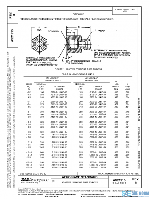 SAE AS21915B PDF