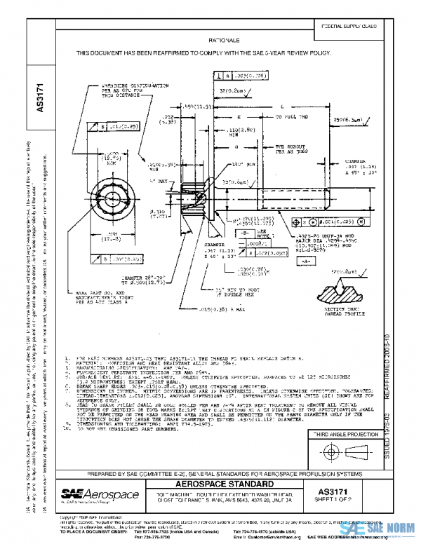 SAE AS3171 PDF