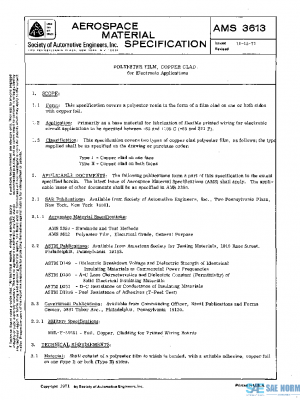 SAE AMS3613 PDF