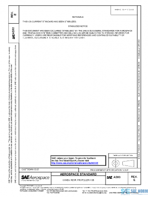 SAE AS93E PDF