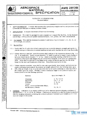 SAE AMS2813B PDF
