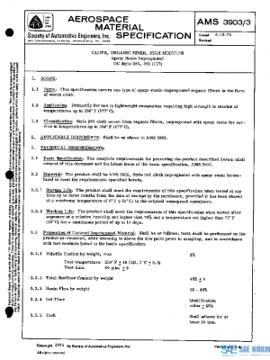 SAE AMS3903/3 PDF