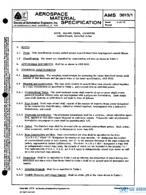 SAE AMS3813/1 PDF