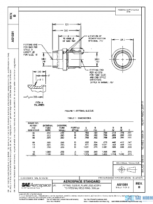 SAE AS1581B PDF