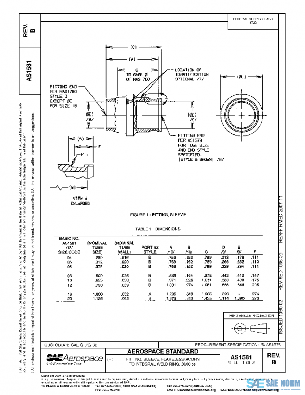 SAE AS1581B PDF