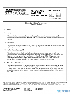 SAE AMS2483B PDF