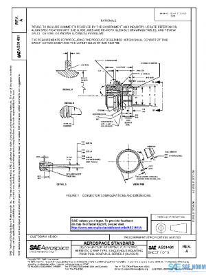 SAE AS31491A PDF