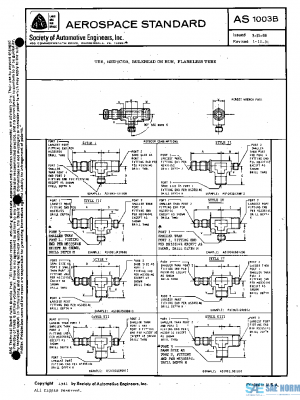 SAE AS1003B PDF