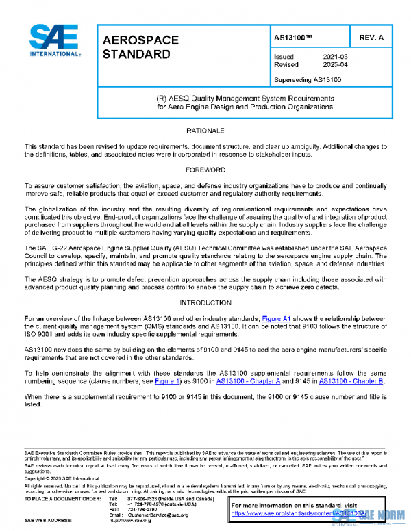 SAE AS13100A PDF