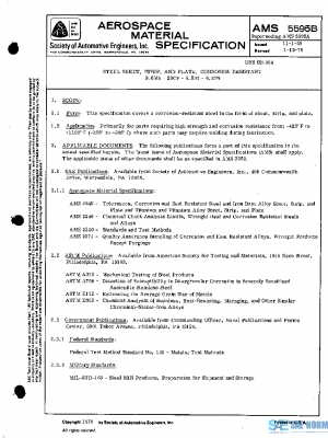 SAE AMS5595B PDF