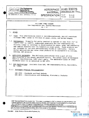 SAE AMS3307B PDF