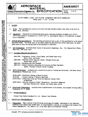 SAE AMS5607 PDF