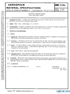 SAE AMS3198G PDF