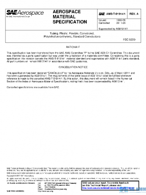 SAE AMST81914/1A PDF