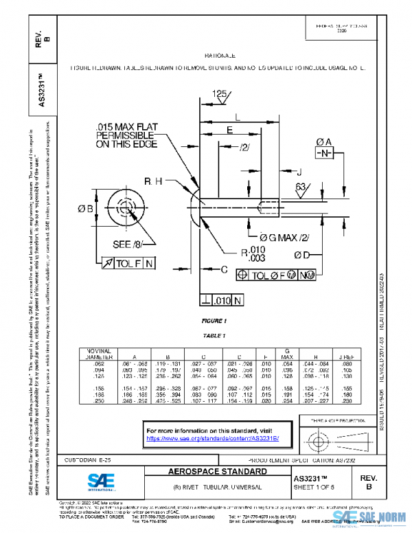 SAE AS3231B PDF SAE AS3231B PDF