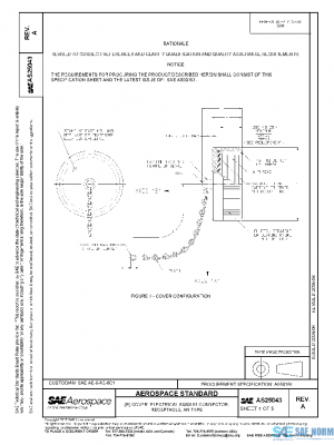 SAE AS25043A PDF