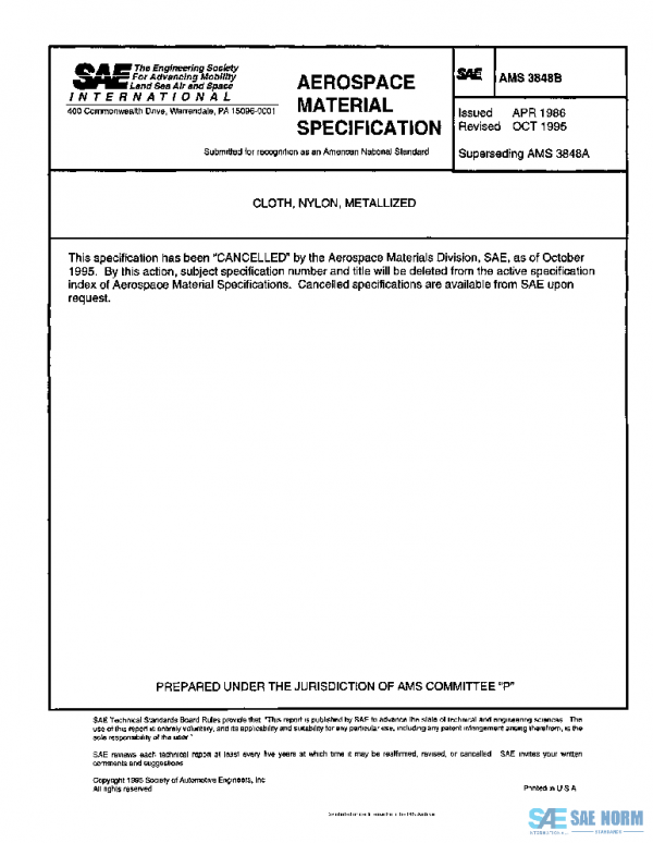 SAE AMS3848B PDF