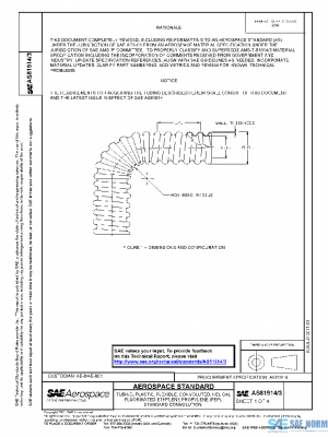 SAE AS81914/3 PDF
