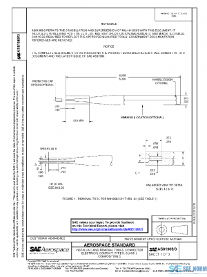 SAE AS81969/3 PDF