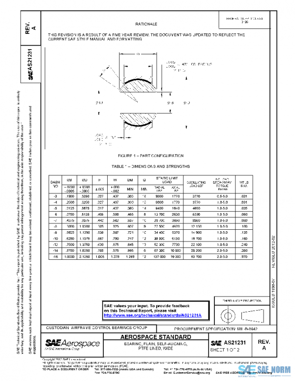 SAE AS21231A PDF
