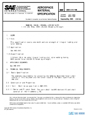 SAE AMS3797/9B PDF