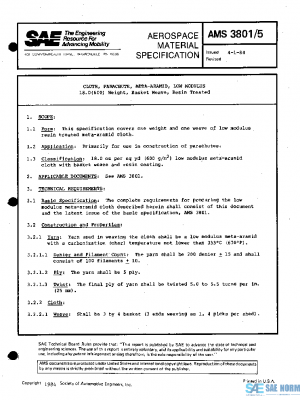 SAE AMS3801/5 PDF