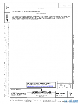 SAE AS3066B PDF