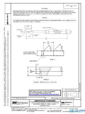SAE AS81969/19 PDF