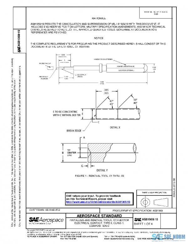 SAE AS81969/19 PDF