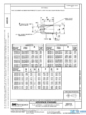SAE AS3123 PDF