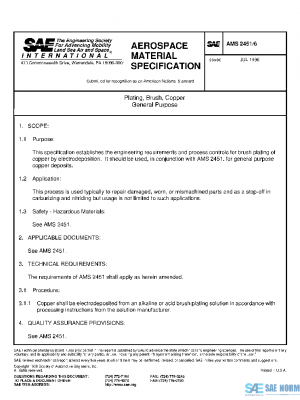 SAE AMS2451/6 PDF