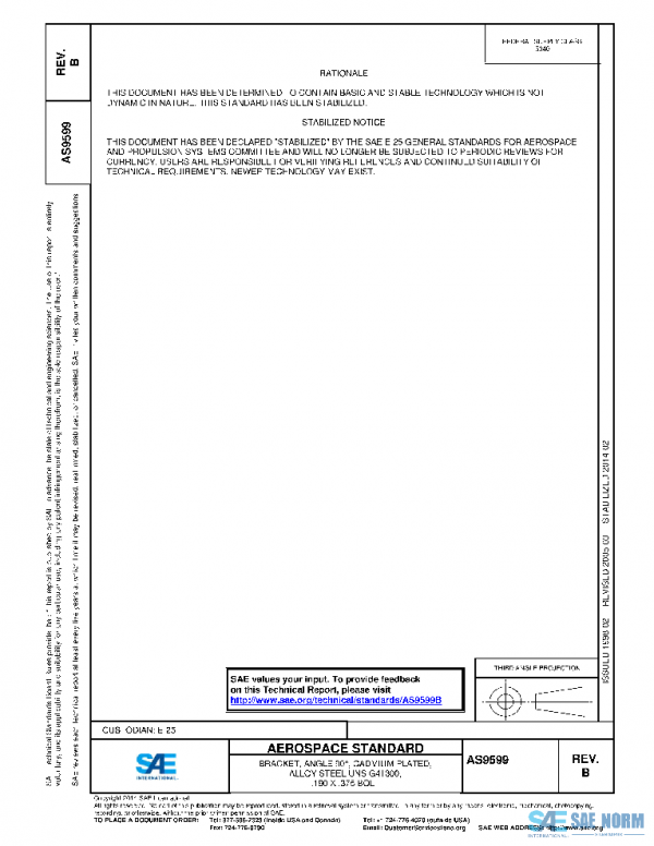 SAE AS9599B PDF