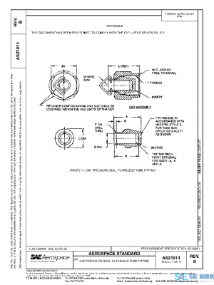 SAE AS21914B PDF
