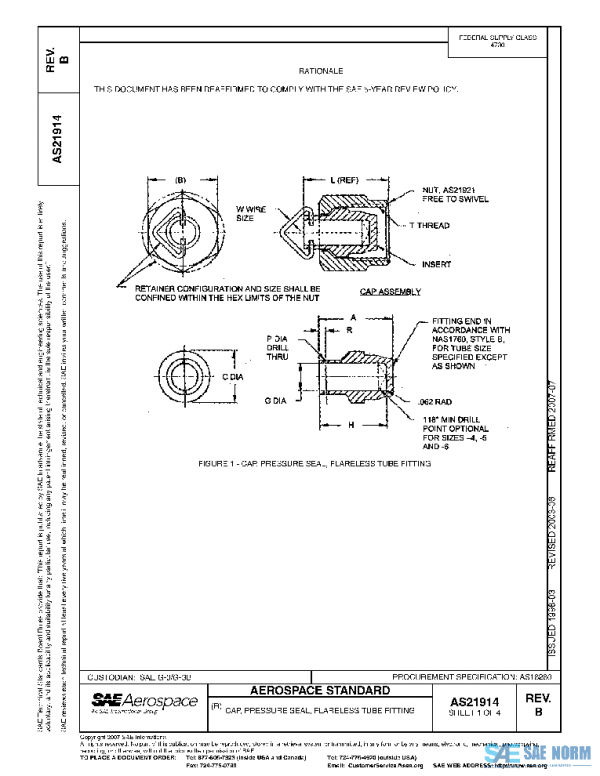 SAE AS21914B PDF