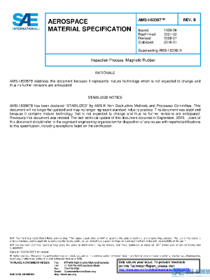 SAE AMSI83387B PDF