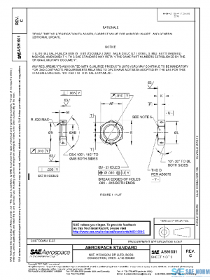 SAE AS91001C PDF