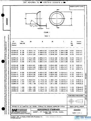 SAE AS3484 PDF