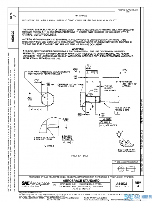 SAE AS9522A PDF