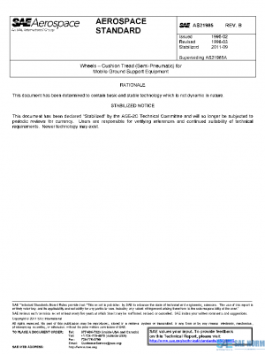 SAE AS21985B PDF