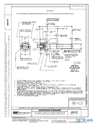 SAE AS3167 PDF