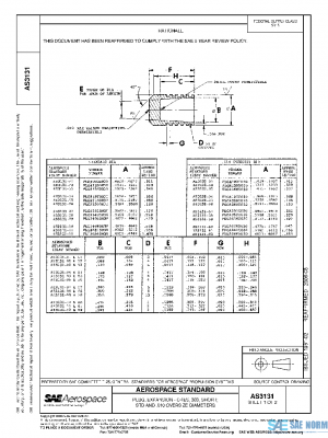 SAE AS3131 PDF