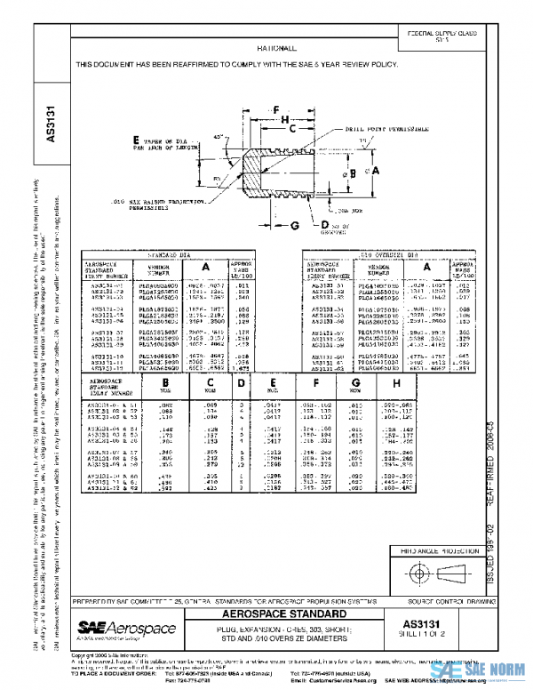 SAE AS3131 PDF