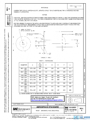 SAE AS125551A PDF