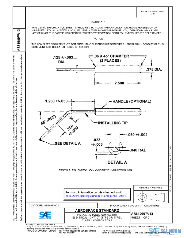 SAE AS81969/13 PDF